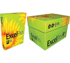 excel pro digital